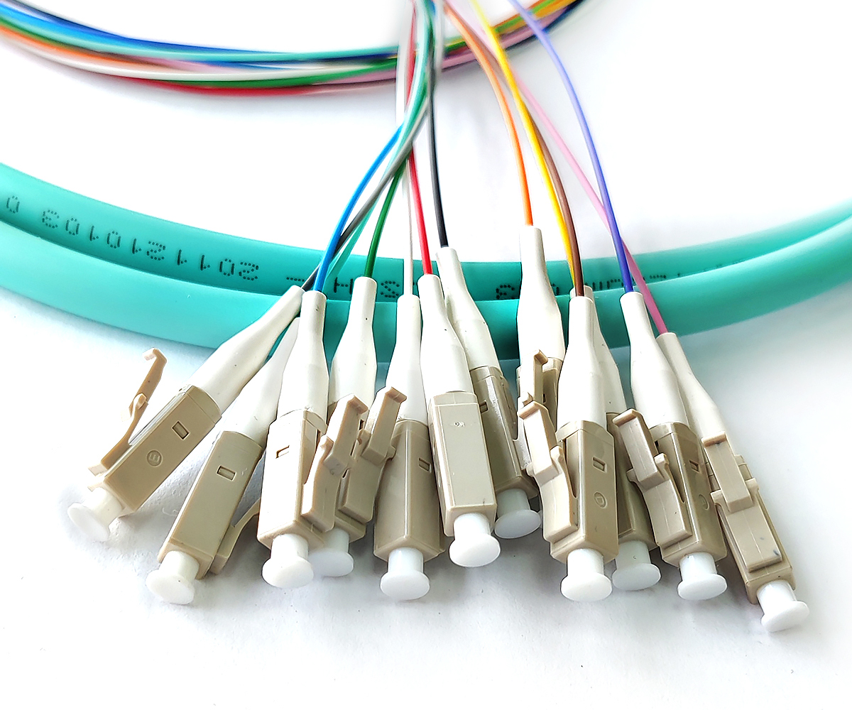 Thumbnail FLOFPTLCO202

