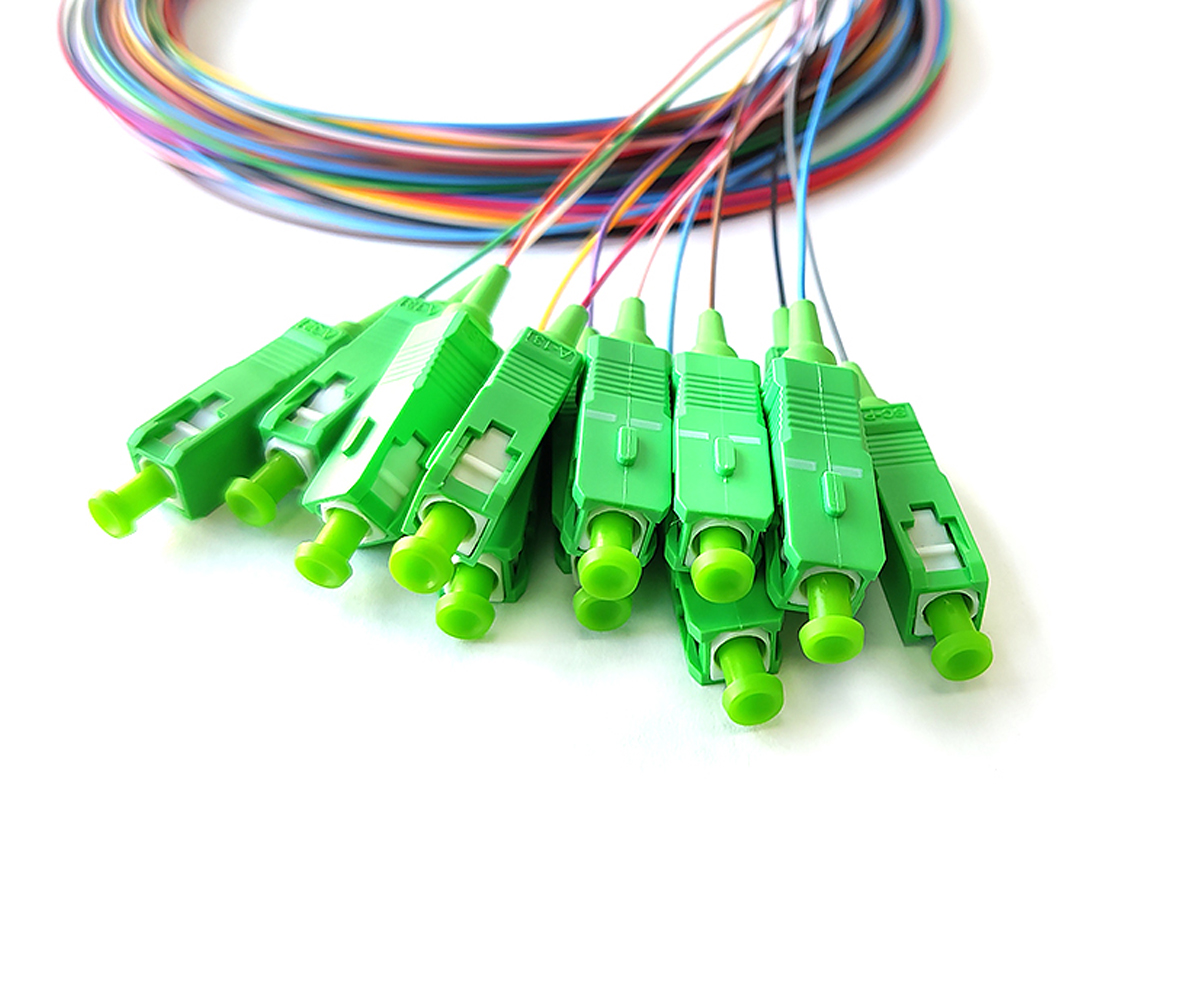 Thumbnail FLOFPTSCAG7102

