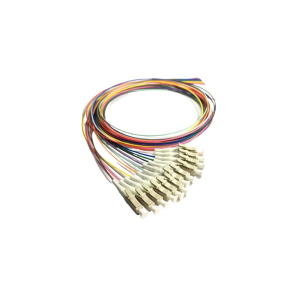 Thumbnail FLOFPTSCO202

