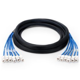Cat5e UTP Jack to Jack Trunk Cable 10ft