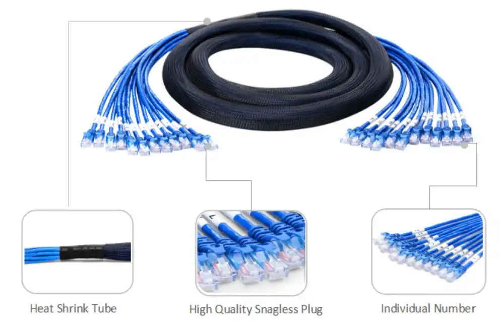 Cat5e UTP Plug-to-Plug Trunk 10ft
